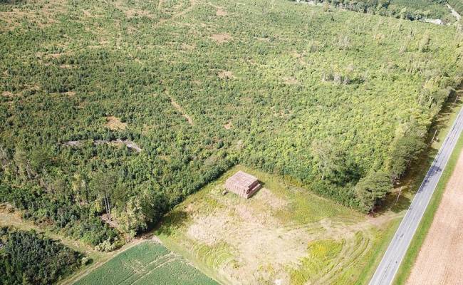 193 Acres Saxis Road, Accomack County, VA 23427