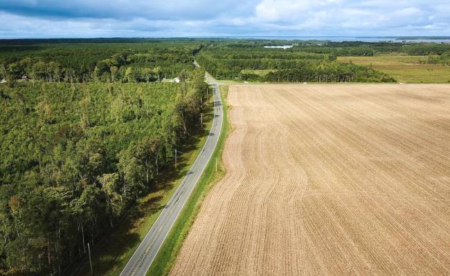 193 Acres Saxis Road, Accomack County, VA 23427