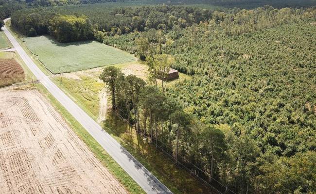 193 Acres Saxis Road, Accomack County, VA 23427
