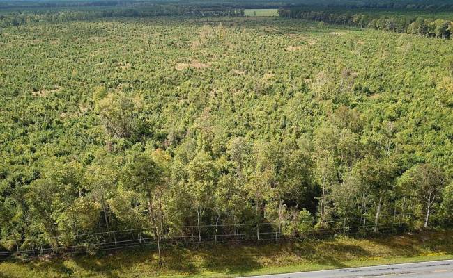 193 Acres Saxis Road, Accomack County, VA 23427