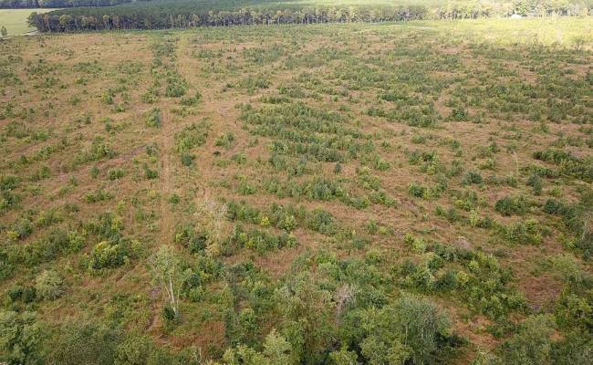 193 Acres Saxis Road, Accomack County, VA 23427