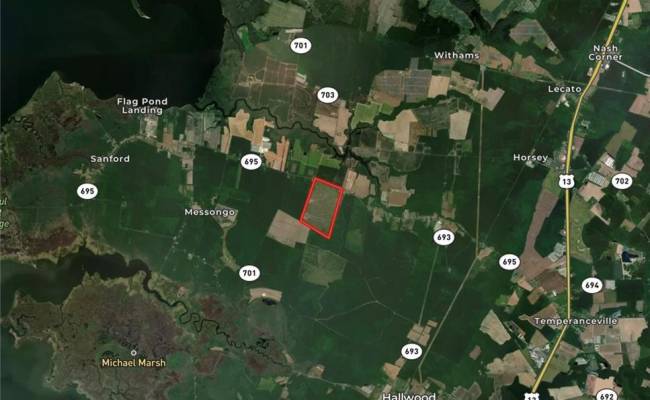 193 Acres Saxis Road, Accomack County, VA 23427