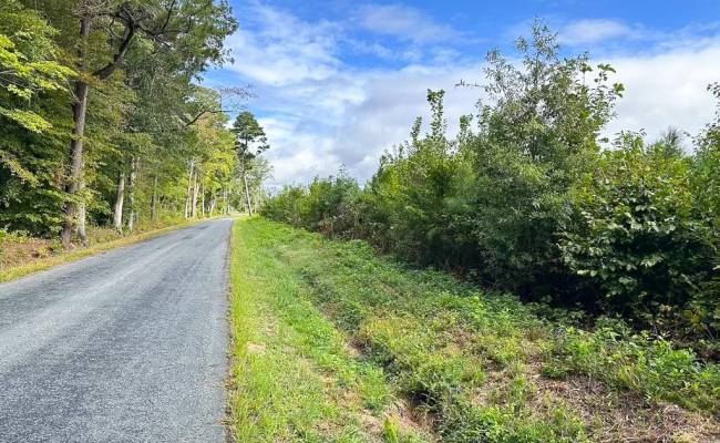 193 Acres Saxis Road, Accomack County, VA 23427