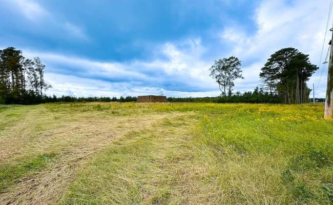 193 Acres Saxis Road, Accomack County, VA 23427