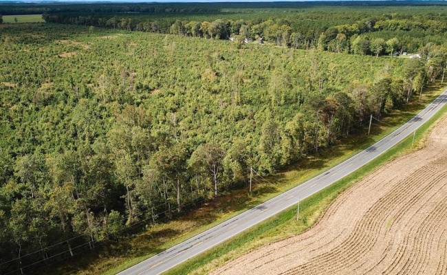 193 Acres Saxis Road, Accomack County, VA 23427