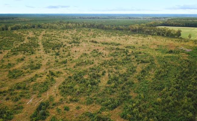 193 Acres Saxis Road, Accomack County, VA 23427