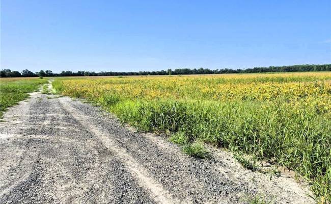 1769 Land Of Promise Road, Chesapeake, VA 23322
