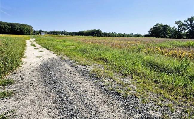 1773 Land Of Promise Road, Chesapeake, VA 23322