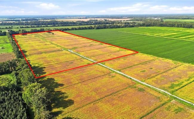 1773 Land Of Promise Road, Chesapeake, VA 23322