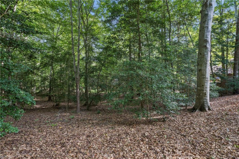 Photo 40 of 49 residential for sale in James City County virginia