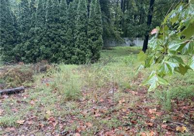112 Haynes Drive, Williamsburg, VA 23185