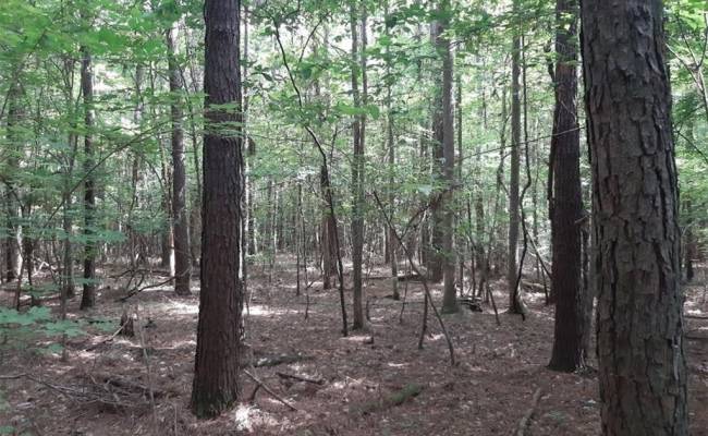 6664 Blackwater Road, Virginia Beach, VA 23457