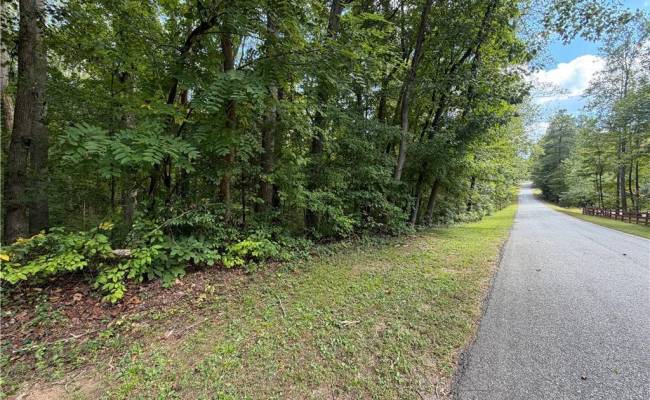 6.72Ac Hudson Mill Drive Drive, Brunswick County, VA 23868