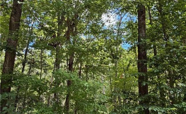 6.72Ac Hudson Mill Drive Drive, Brunswick County, VA 23868