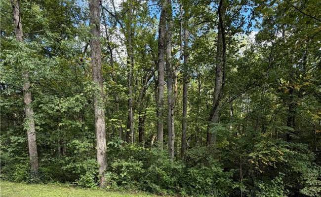 6.72Ac Hudson Mill Drive Drive, Brunswick County, VA 23868