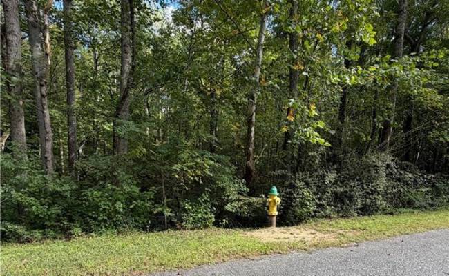 6.72Ac Hudson Mill Drive Drive, Brunswick County, VA 23868