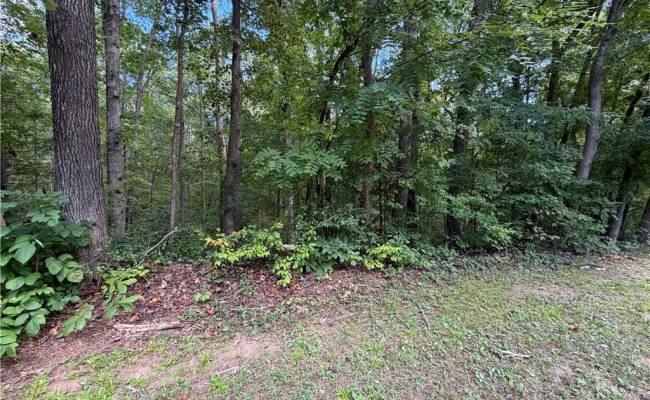 6.72Ac Hudson Mill Drive Drive, Brunswick County, VA 23868