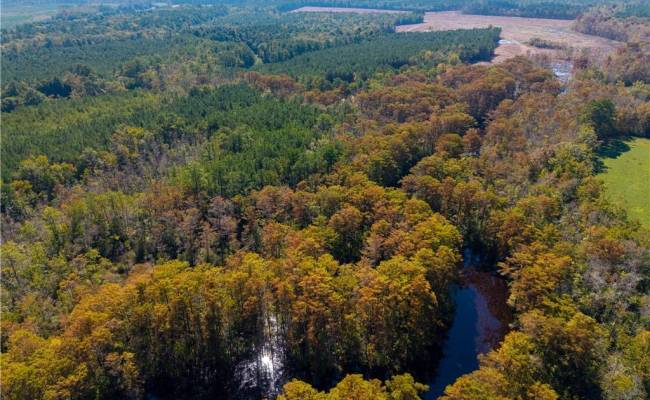 Lot 1 East Ridge Road, Moyock, NC 27958