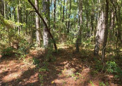 00 Mobjack Lane, Gloucester County, VA 23072