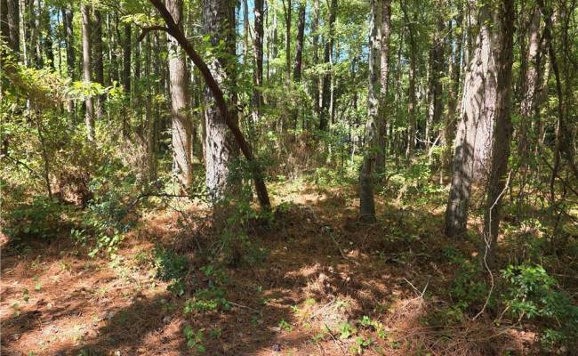 00 Mobjack Lane, Gloucester County, VA 23072