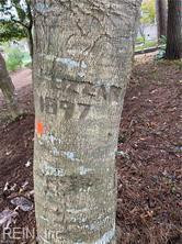 Photo 44 of 50 residential for sale in Virginia Beach virginia
