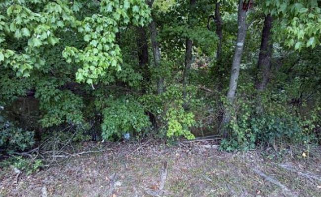 1328 Hawk Avenue, Virginia Beach, VA 23453