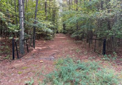 Parcel Dripping Springs Road, Surry County, VA 23839