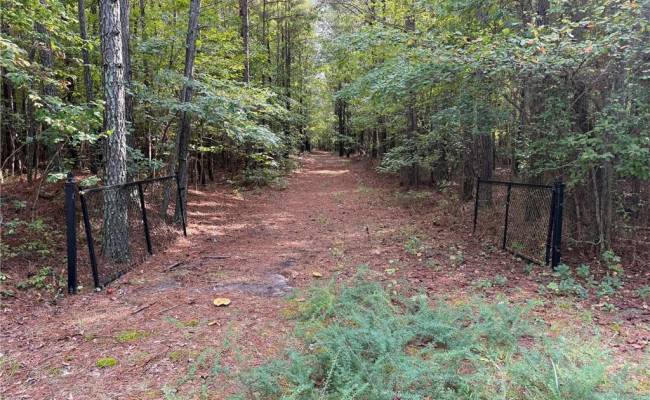 Parcel Dripping Springs Road, Surry County, VA 23839