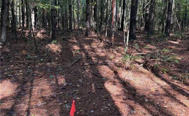 Parcel Dripping Springs Road, Surry County, VA 23839