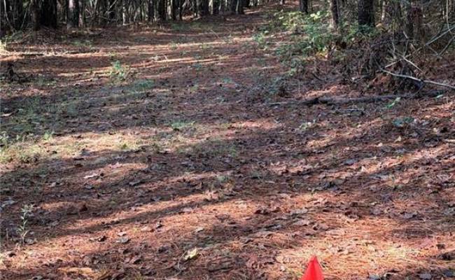 Parcel Dripping Springs Road, Surry County, VA 23839
