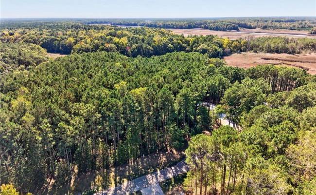 14310 Hardys Place, Isle of Wight County, VA 23430