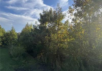 7ACRES BACK BAY PUNGO , Virginia Beach, VA 23457