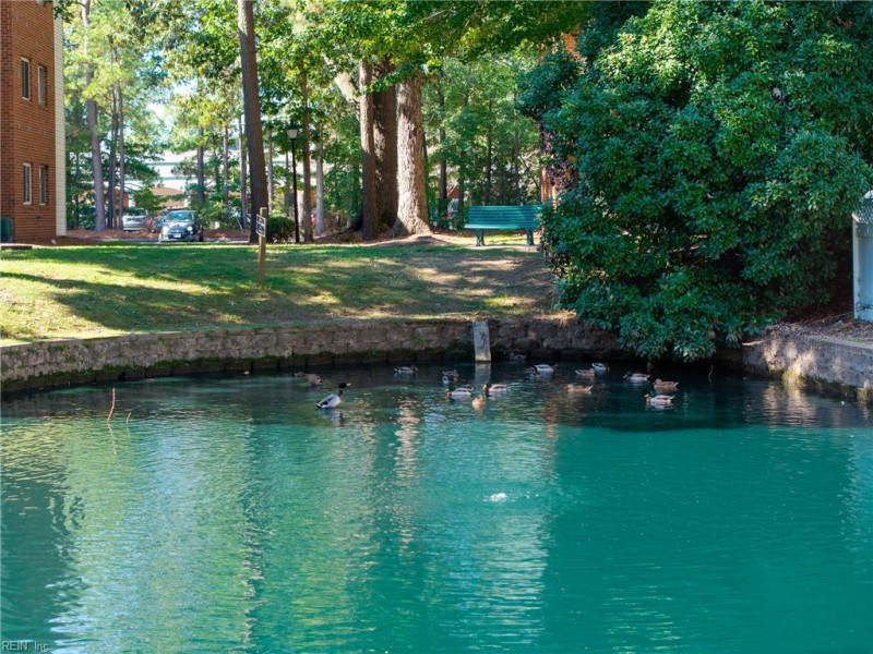 Photo 36 of 49 residential for sale in Newport News virginia