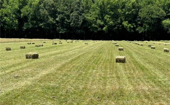42 AC Saint Brides Road, Chesapeake, VA 23322