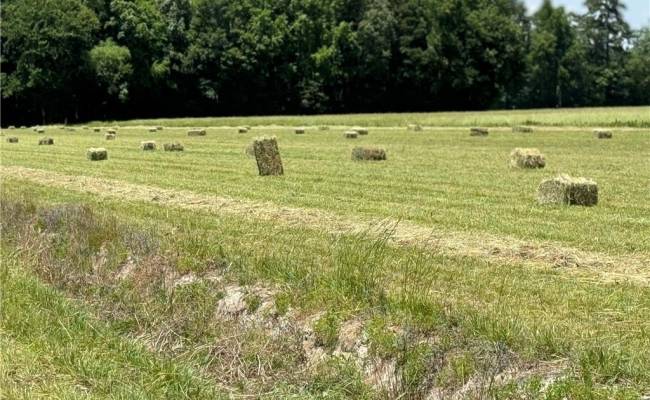 42 AC Saint Brides Road, Chesapeake, VA 23322