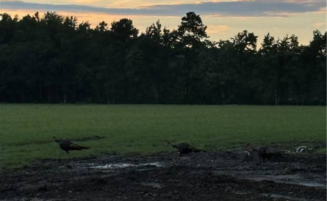 42 AC Saint Brides Road, Chesapeake, VA 23322