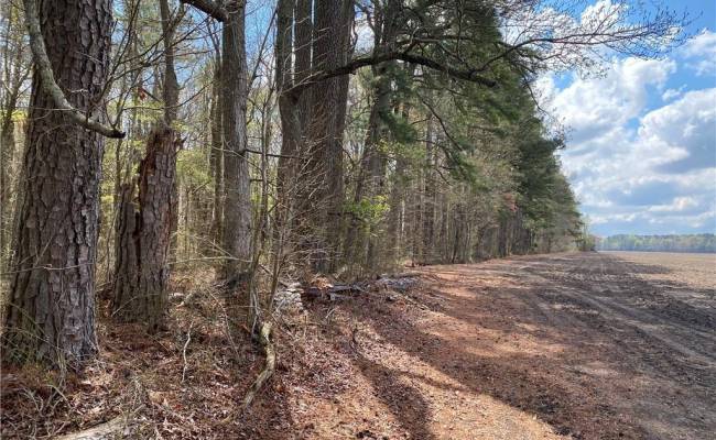42 AC Saint Brides Road, Chesapeake, VA 23322