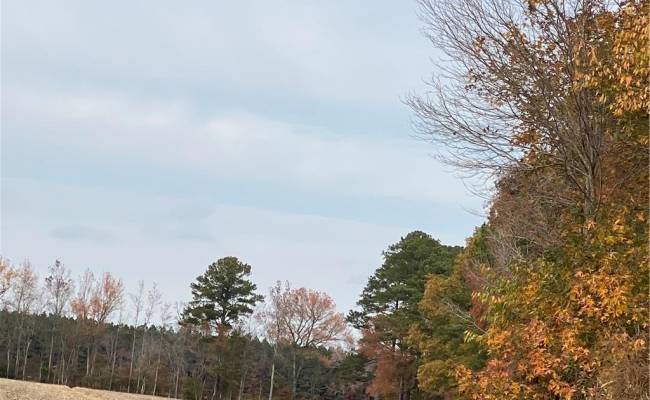 42 AC Saint Brides Road, Chesapeake, VA 23322