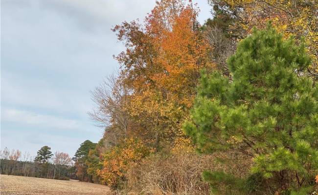 42 AC Saint Brides Road, Chesapeake, VA 23322