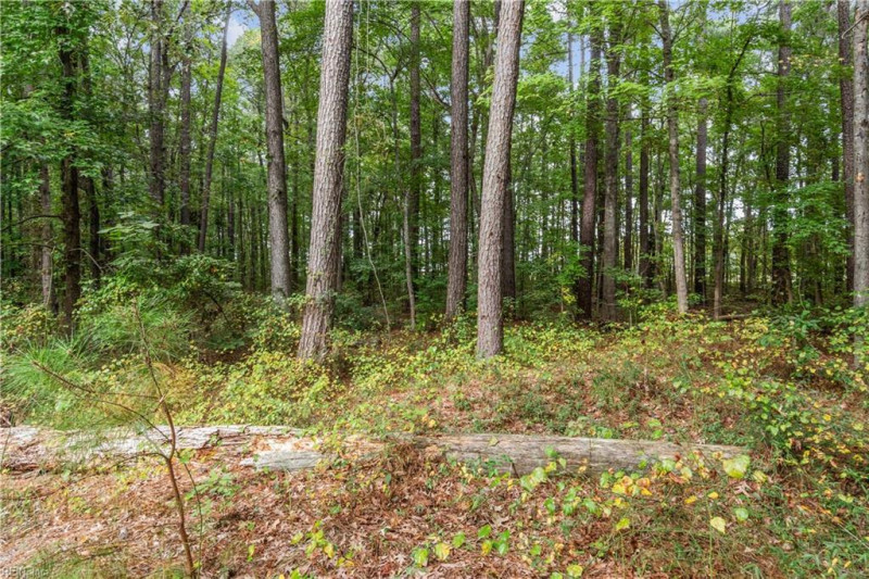 Photo 27 of 32 residential for sale in Chesapeake virginia