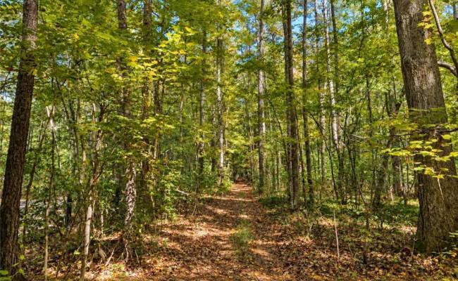 22 AC Johnson Lane, Chesapeake, VA 23322