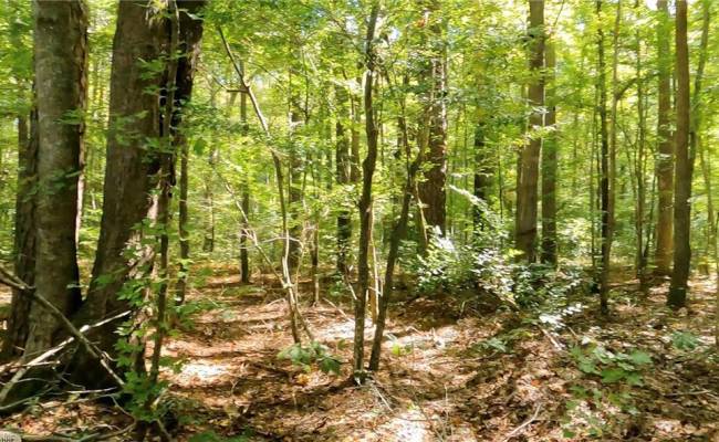 22 AC Johnson Lane, Chesapeake, VA 23322