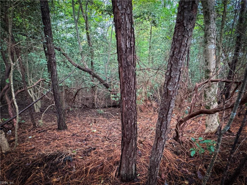 Photo 32 of 38 land for sale in James City County virginia