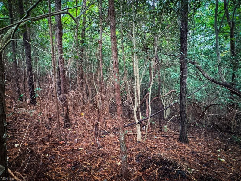 Photo 33 of 38 land for sale in James City County virginia