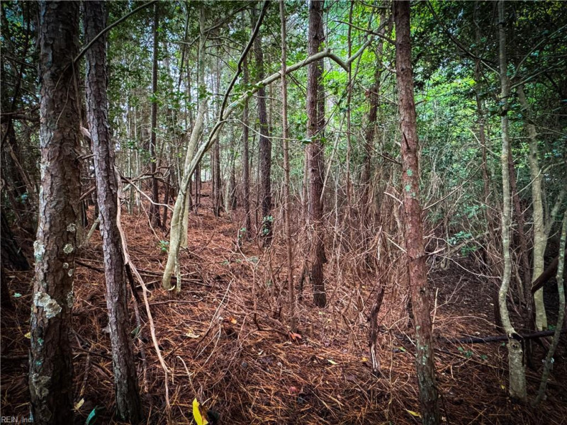 Photo 34 of 38 land for sale in James City County virginia