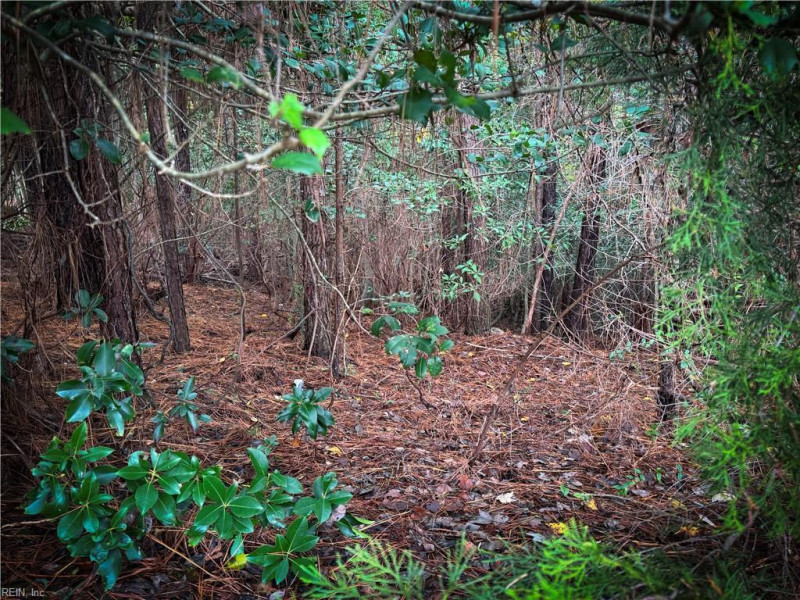Photo 35 of 38 land for sale in James City County virginia