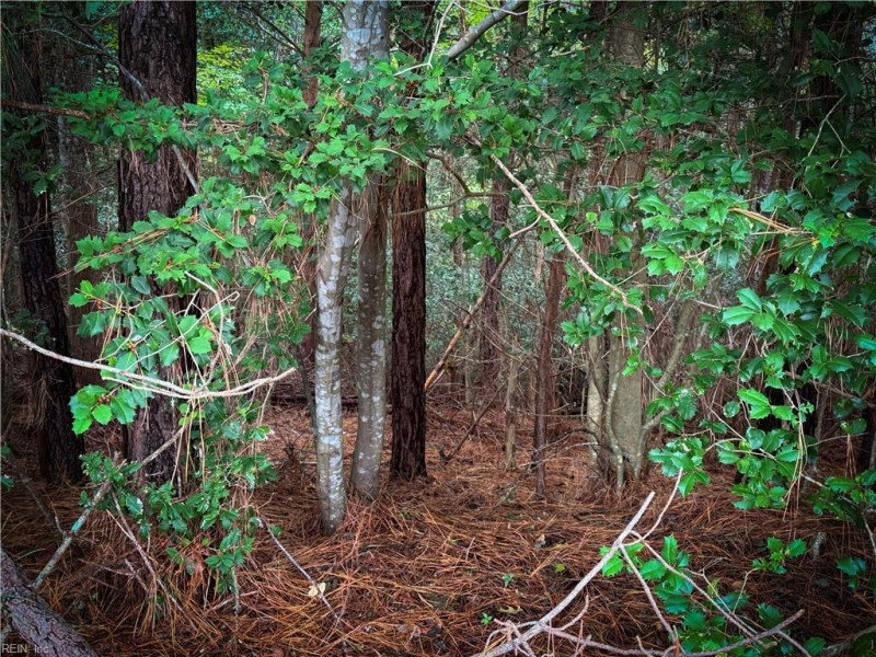 Photo 36 of 38 land for sale in James City County virginia