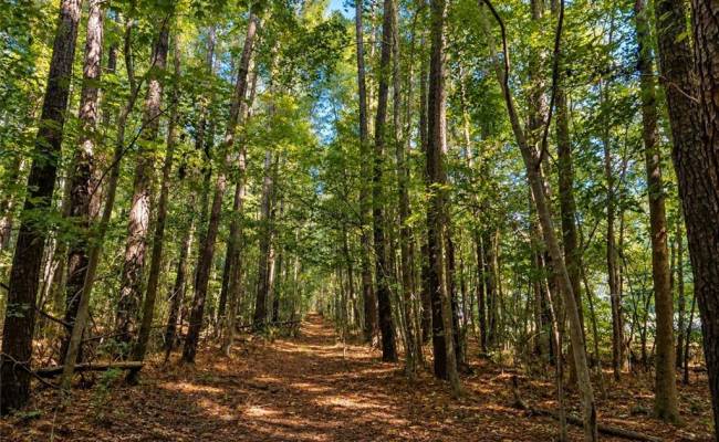 0.35AC Johnson Lane, Moyock, NC 27958