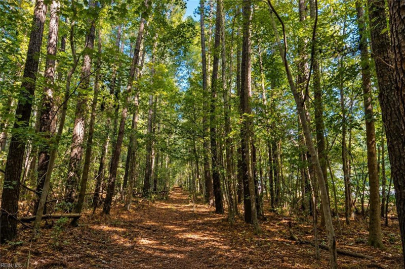 Photo 6 of 11 land for sale in Moyock virginia Photo 6 of 11 land for sale in Moyock virginia