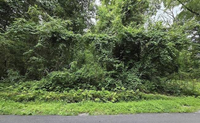 4810 Mineral Spring Road, Suffolk, VA 23438